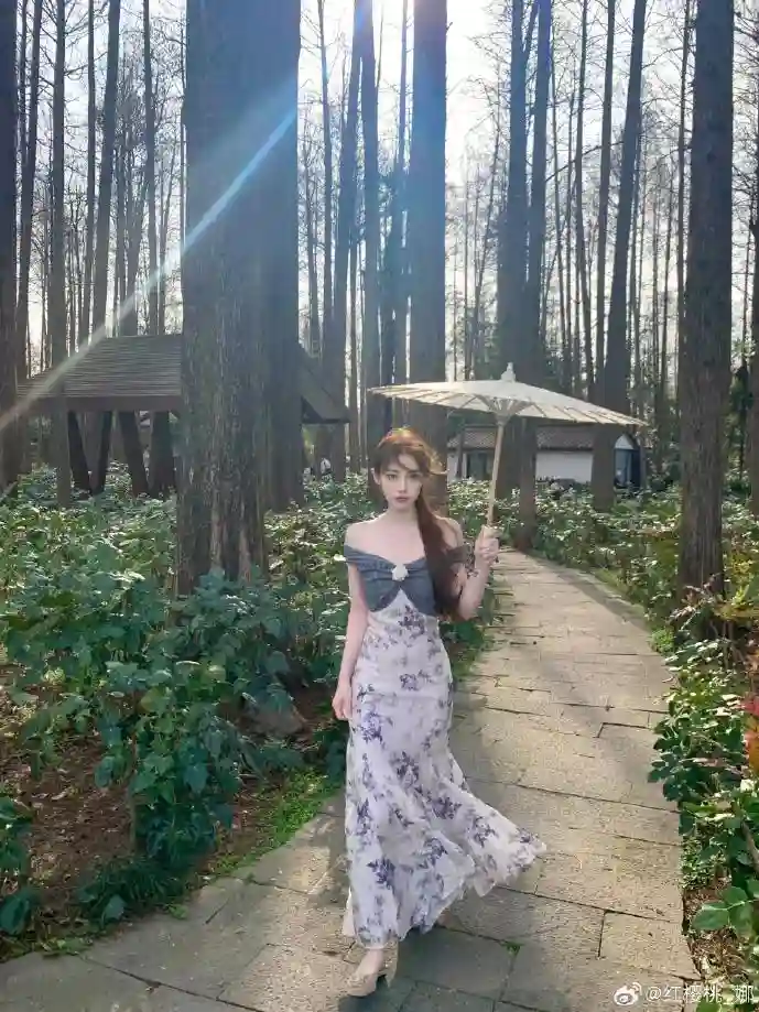 下载速度对比图表